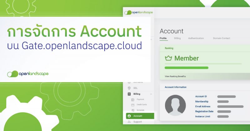 ปก การจัดการ Account