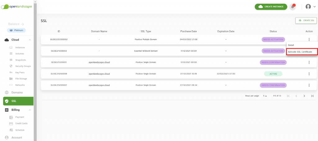 SSL Certificate 11