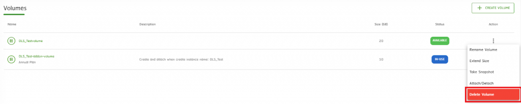 Action > Delete Volume 