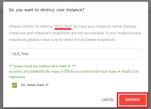 Do you want to destroy your instance?